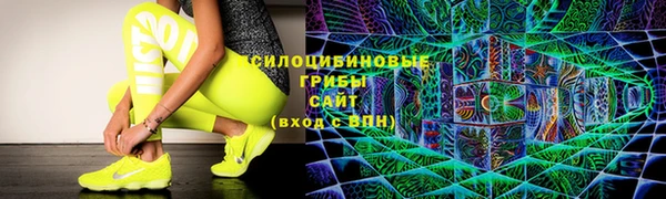 крисы Нефтекумск
