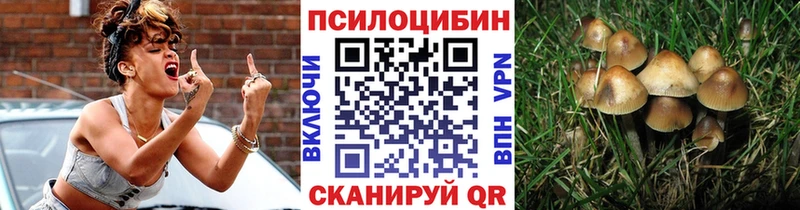 Галлюциногенные грибы мицелий MEGA ССЫЛКА Суздаль